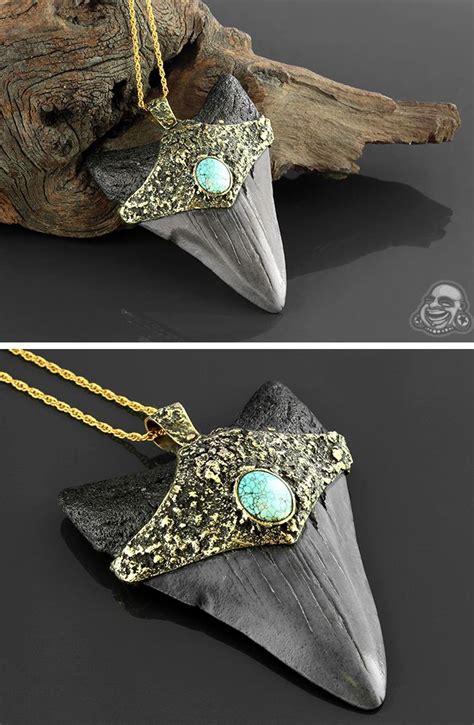 Megalodon Tooth Necklace | Fossil jewelry, Tooth necklace, Megalodon tooth