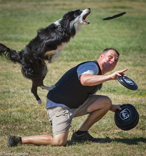 Troy McConaughey competes with his Border Collie during the 2012 ...