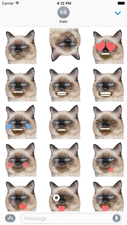 Cat Emoji Sticker Pack by Nick Fanger