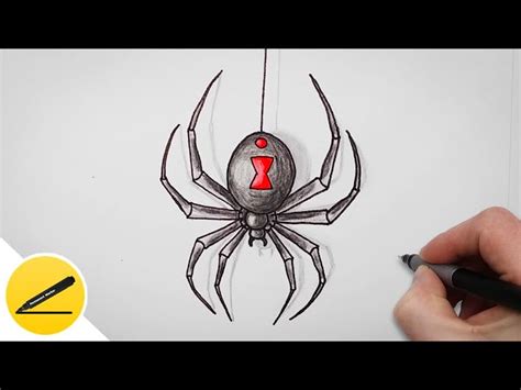 Black Spider Drawing