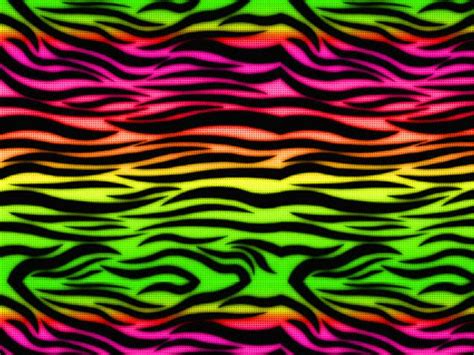 🔥 [50+] Rainbow Zebra Wallpapers | WallpaperSafari