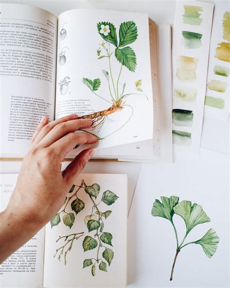 Watercolor illustrations, inspired by old times | Botanical drawings ...