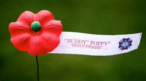 Veterans Day Poppy Distribution - Sign Up Now - VFW Post 8870 and Auxiliary