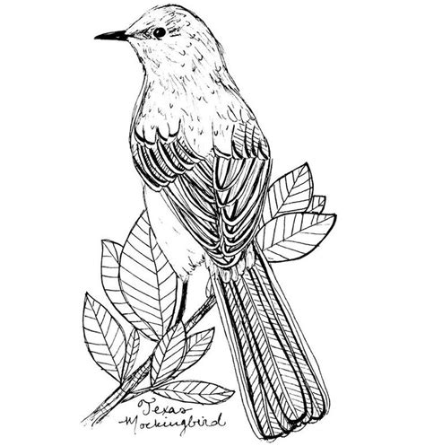 Texas Mockingbird State Bird Art Print / Texas Decor / Mockingbird ...