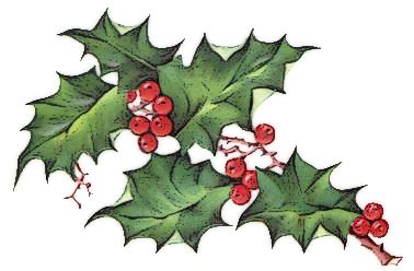 christmas holly and ivy clipart 20 free Cliparts | Download images on ...