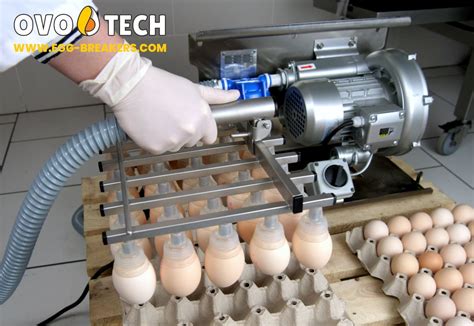 VEL-30 egg lifter - moves eggs from cartons to the machine