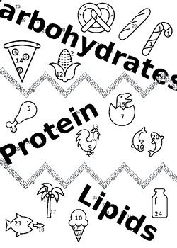 Macromolecules Color Sheet by Victoria Fulton | TPT