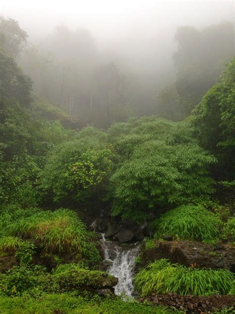 Magic of Monsoon – Awestruck @ Amboli Ghat!