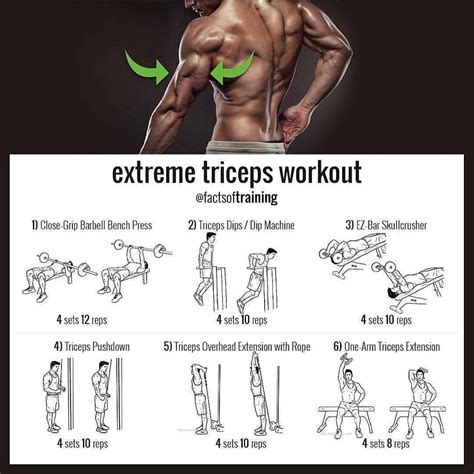 exercises for huge triceps | Triceps workout, Extreme workouts, Arm workout