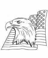American Flag Eagle coloring Page  Download Print Or Color Online For sketch template