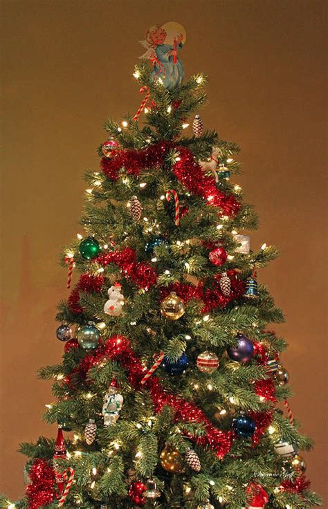 An Old Fashioned Christmas Tree Photograph by Suzanne Gaff - Fine Art America