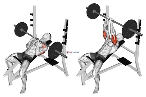 Barbell Incline Close Grip Bench Press - Home Gym Review