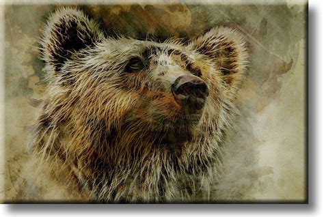 Grizzly Bear Picture on Stretched Canvas, Wall Art Décor, Ready to Hang - Walmart.com