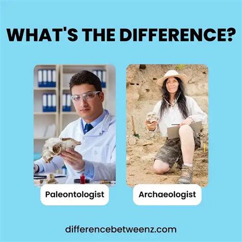 Difference between Paleontologist and Archaeologist - Difference Betweenz