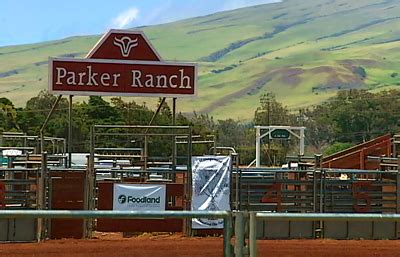 Parker Ranch, Ulupono plan large grass-fed beef trial