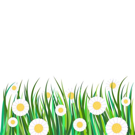 Daisy Flower Meadow Border Decor 8995865 Vector Art at Vecteezy