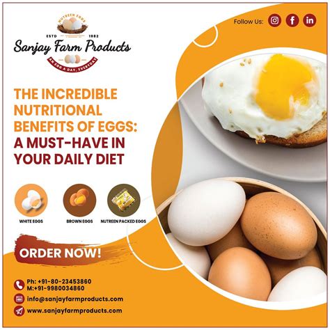 Egg Suppliers in Bangalore | Fresh eggs near me - Sanjay F… | Flickr