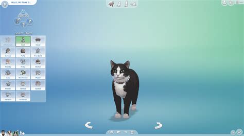 Cat Traits 1 - Sims Community