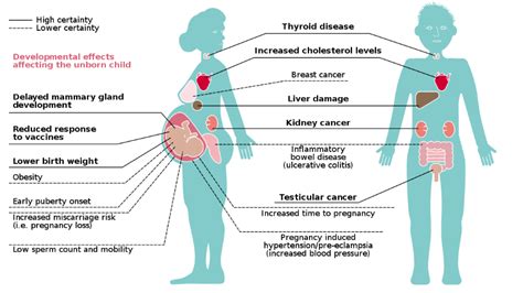 Op-Ed: Good news — A simple fix for PFAS, quick and efficient - Digital Journal