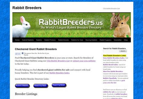 Checkered Giant Rabbits for Sale | USA Rabbit Breeders