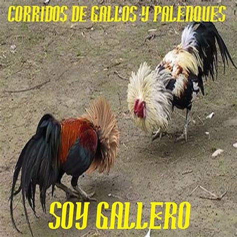 Soy Gallero by CORRIDOS DE GALLOS Y PALENQUES on Amazon Music - Amazon ...