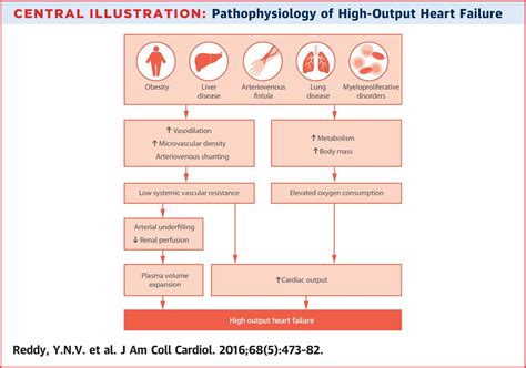 7. High output cardiac failure – greek.doctor