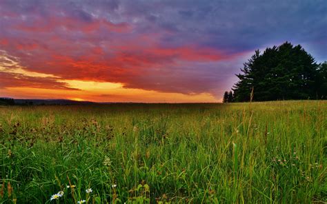 Grassland Sunset Wallpaper – arthatravel.com