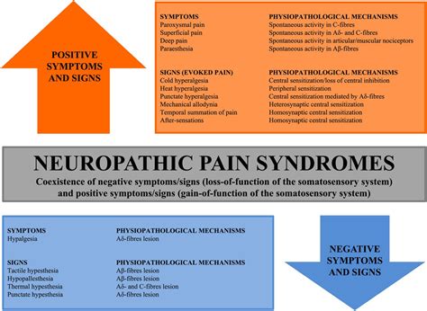 Neuropathic pain: diagnosis and treatment | Practical Neurology