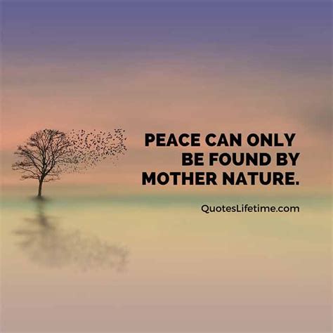 100+ Mother Nature Quotes Everyone Needs To Read