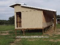 Homing Pigeon Loft - Construction