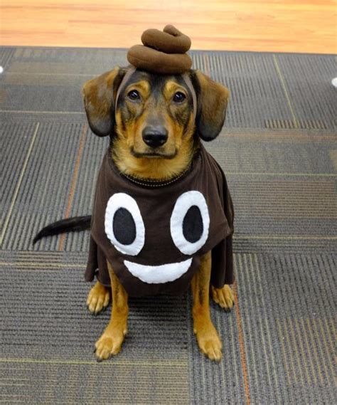 35 Ideas for Poop Emoji Costume Diy - Home, Family, Style and Art Ideas