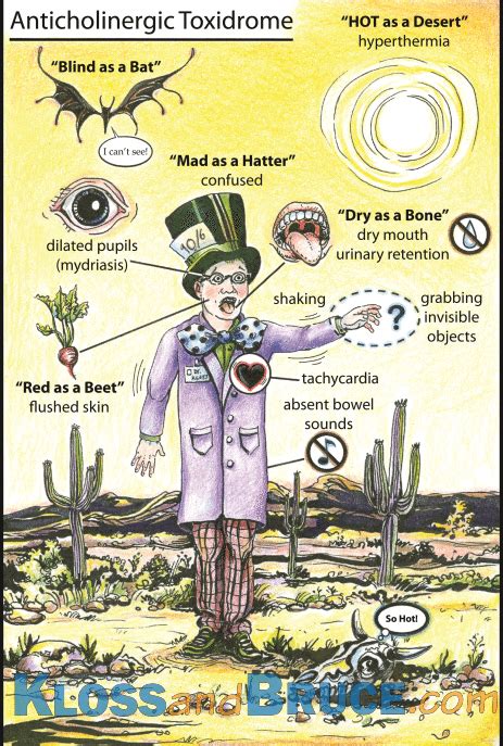 Anticholinergic Intoxication | Resources for Toxicology and Industrial ...