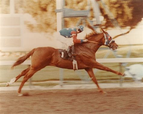 A Brief History of Phillips Creek Ranch - Phillips Creek Ranch