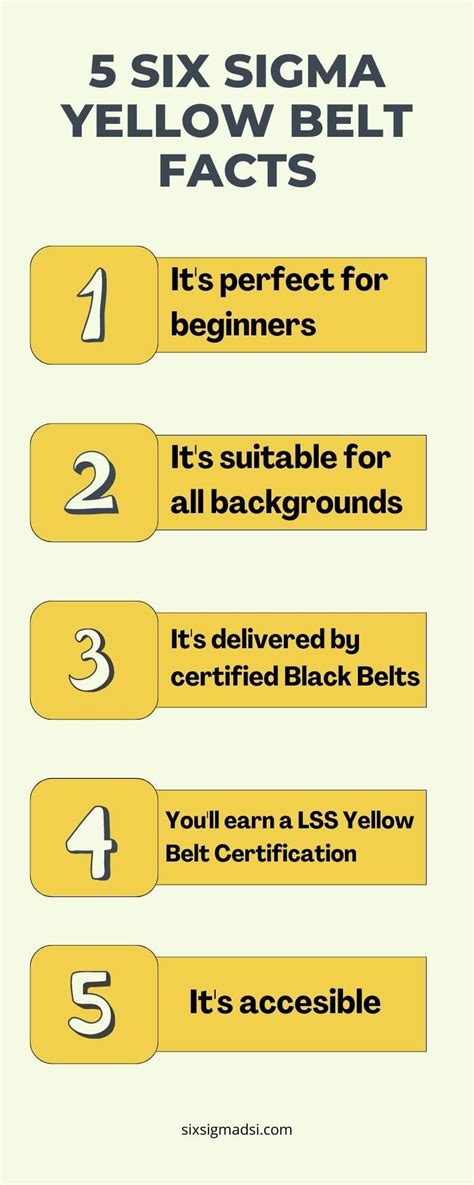 5 Facts About a Lean Six Sigma Yellow Belt Certification