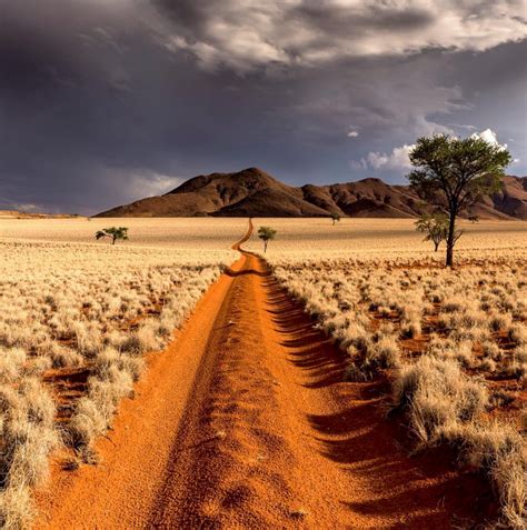 The Desert of Namibia : PathPorn | Beautiful landscapes, Namibia travel, Beautiful nature