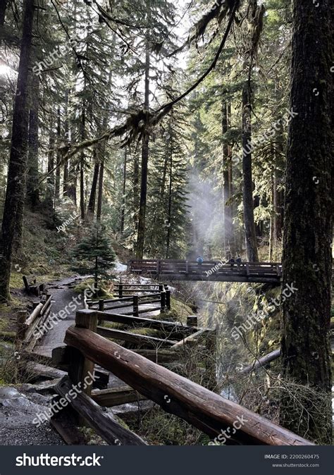 Sol Duc Falls Trail Washington Stock Photo 2200260475 | Shutterstock