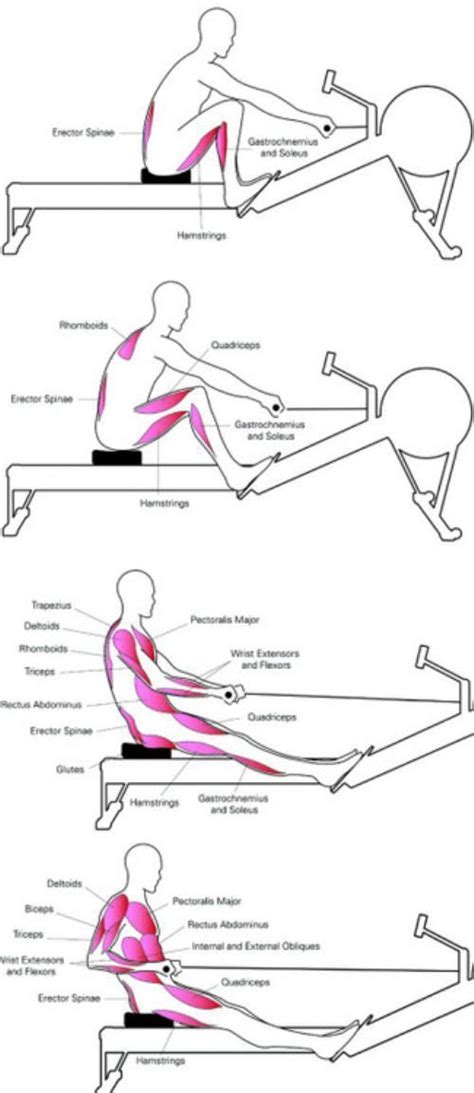 crossfit | Rowing workout, Rowing, Fitness body