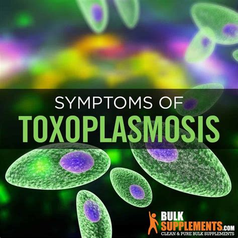 What is Toxoplasmosis: Symptoms, Causes & Remedies