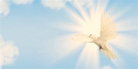 Clouds and Doves | The Cloud or a Dove Over Israel? | IFCJ