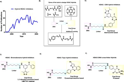 HDAC inhibitors are an attractive class of molecules for the design of ...