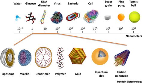 Will Nanotechnology Bring New Hope for Gene Delivery?: Trends in Biotechnology