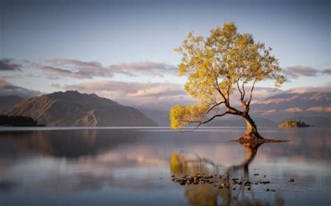 Beautiful Reflection At Lake Pier Wallpaper - Nature Wallpaper Wooden ...