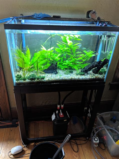 [GA] - Milwaukee, WI - 29 gallon tall aquarium, stand, and fish : r/AquaSwap