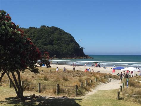 Explore Our Guide To Waihi Beach | Bay of Plenty NZ