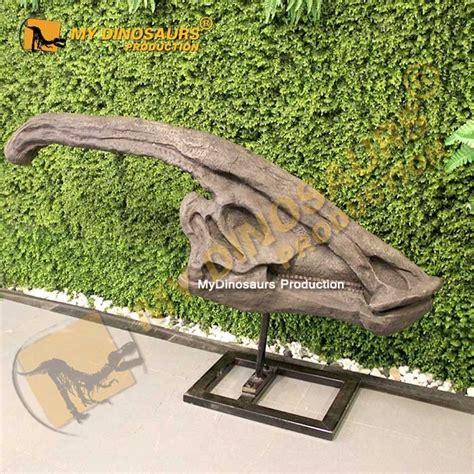 Giant Dinosaur Head Fossil Parasaurolophus Skull | MyDinosaurs