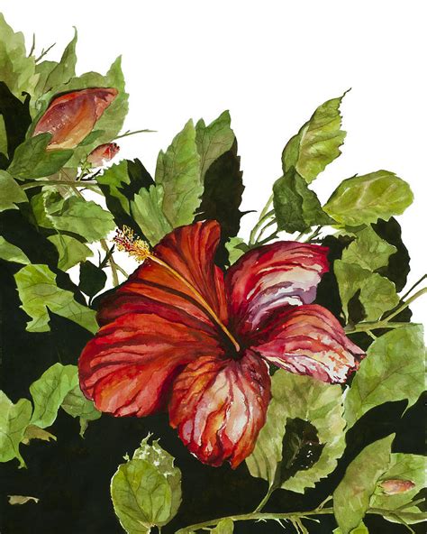 Red Hibiscus Painting by Karen Ann - Fine Art America