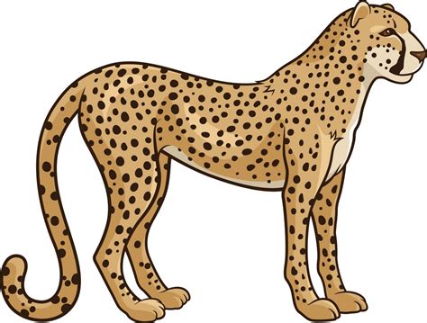 cheetah 1 - Clipart World