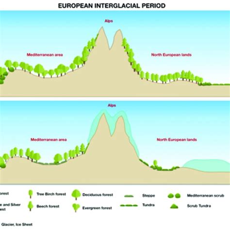 1 Schemes of the vegetation distribution during interglacial and ...