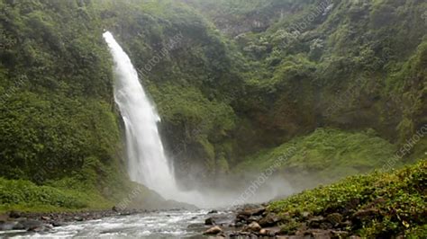 San Rafael Falls - Stock Video Clip - K003/0293 - Science Photo Library