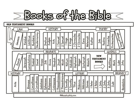 Books Of The Bible Bookcase Printable - Printable Word Searches